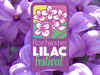 Lilac Festival Logo