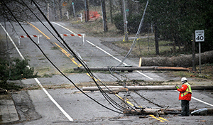 An image of a blocked off street with trees and power lines on the road. One worker in a reflective vest is on the road surveying the damage. 