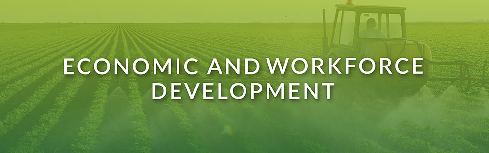 Economic And Workforce Development