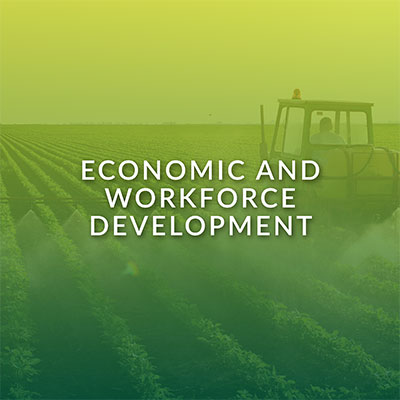 Economic and Workforce Development