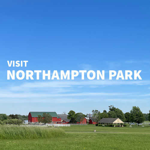 Visit Northampton Park