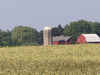 Photo of farmland and barn